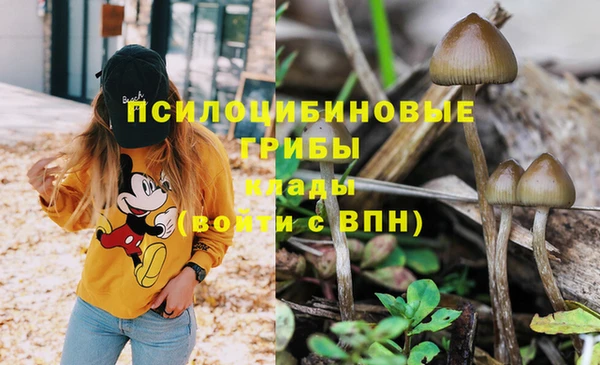 кристаллы Баксан