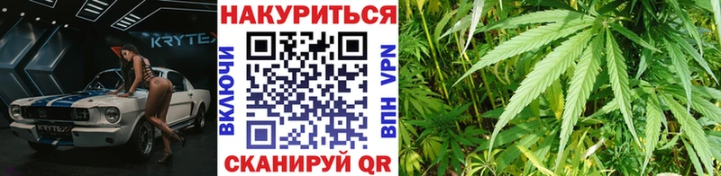 Конопля сатива сайты даркнета наркотические препараты Нерчинск